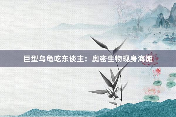 巨型乌龟吃东谈主：奥密生物现身海滩