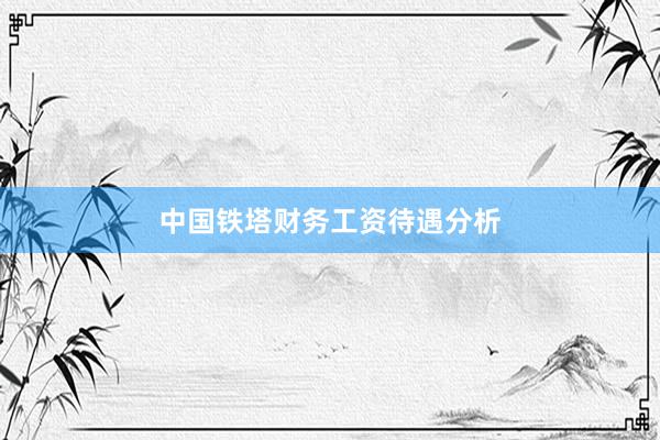 中国铁塔财务工资待遇分析